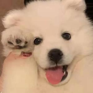 乡下被继H嗯啊雪婷
