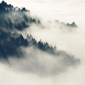 乡下被继H嗯啊雪婷
